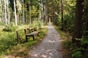 ein Wanderweg an der Weißach entlang