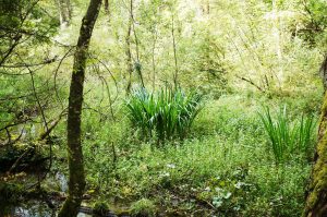 zauberhafte Landschaft