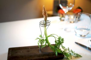 Karotte mit weißem Mohn