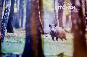 Braten aus dem Wald