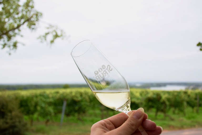 Rheinhessen geniessen mit Wein und Winzern