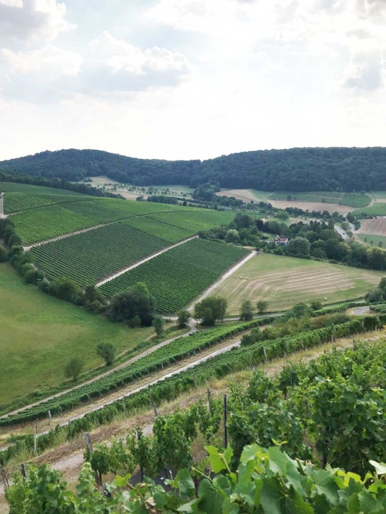 Zu Gast auf Castell und im Bürgerspital z. Hl. Geist