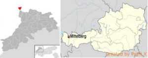 Umsatzsteueranmeldung in Österreich