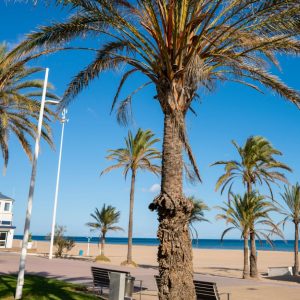 GANDIA  14-21 JUNIO