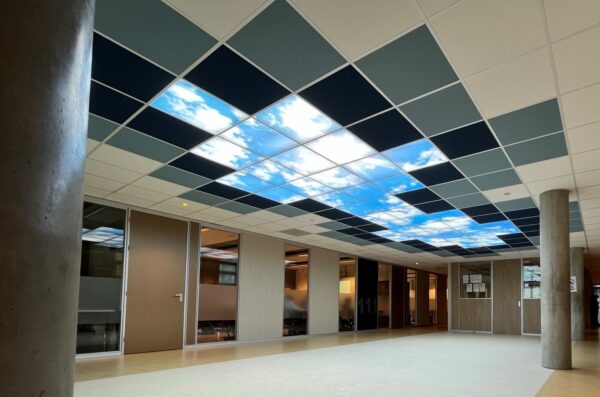 Printed Ceiling Tiles - Image 2