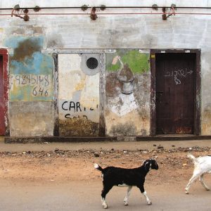 Designphotoart - India