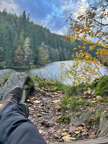 Monschau-Natuurpark-EifelIMG 8254