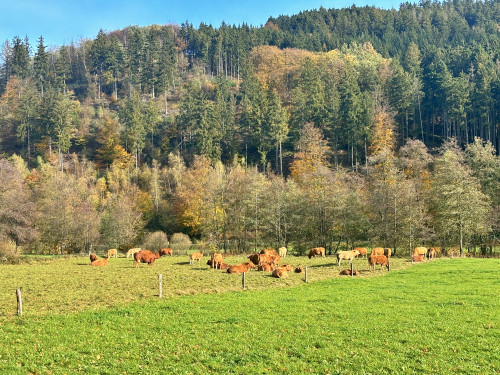 Monschau-Natuurpark-EifelIMG 8277