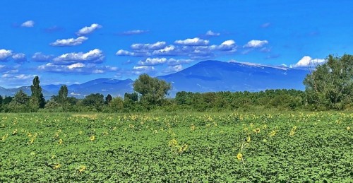 Orange-Pernes-Les-FonteinesIMG 2327