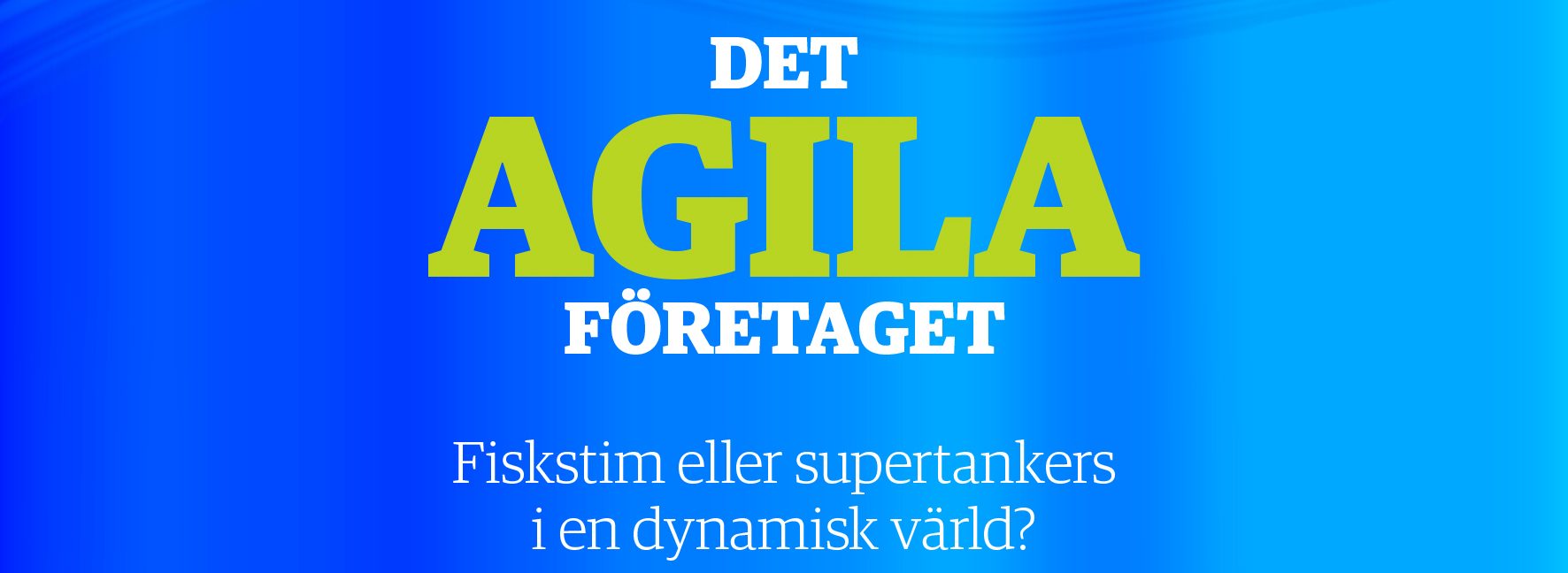 Det agila företaget