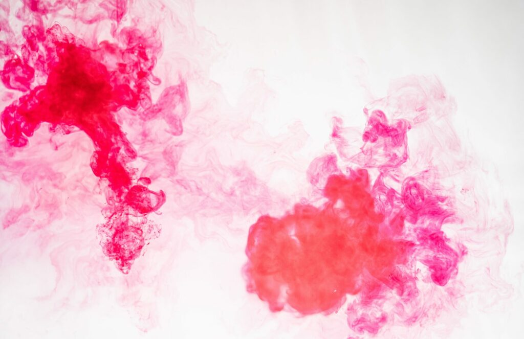 annie-spratt-FXcRNy6aWA4-unsplash