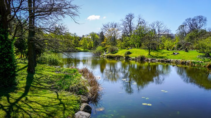 Botanisk Have gennem 150 år.