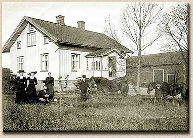 angens-gard-dingle