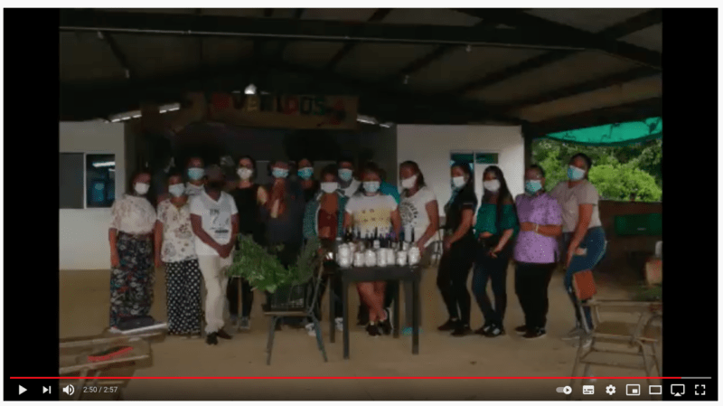 Medicinal plants from Caquetá for peace and reconciliation