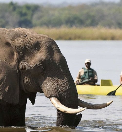 canoeing-safaris1-845x515