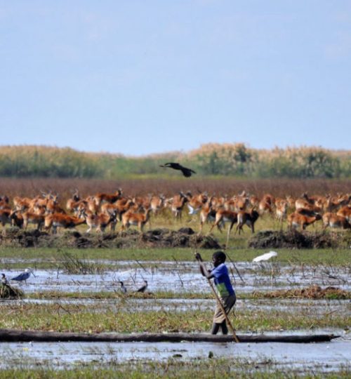 Bangweulu wetlands The area has been designated as one of the world's most important wetlands