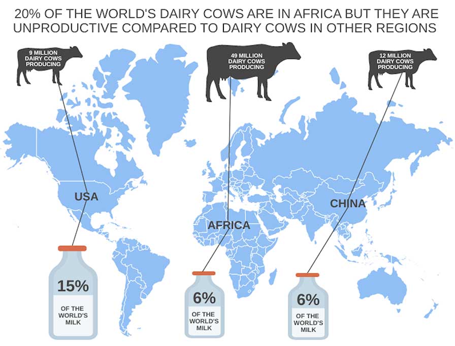 Potential for Dairy-led Development Cooperation Between China and Africa - Development Reimagined