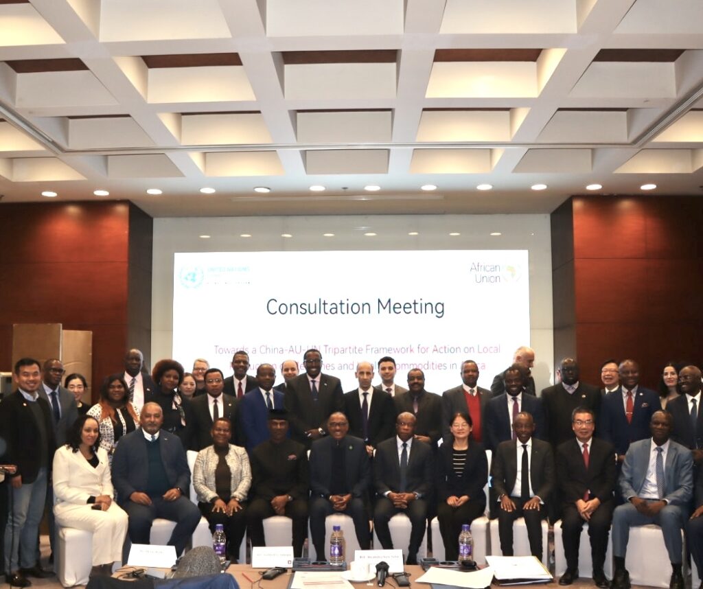 Tripartite Framework 