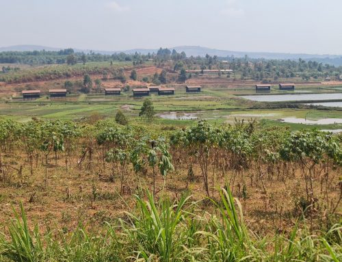 Appui au système de gestion des finances publiques sensible au climat au Gouvernment de Burundi