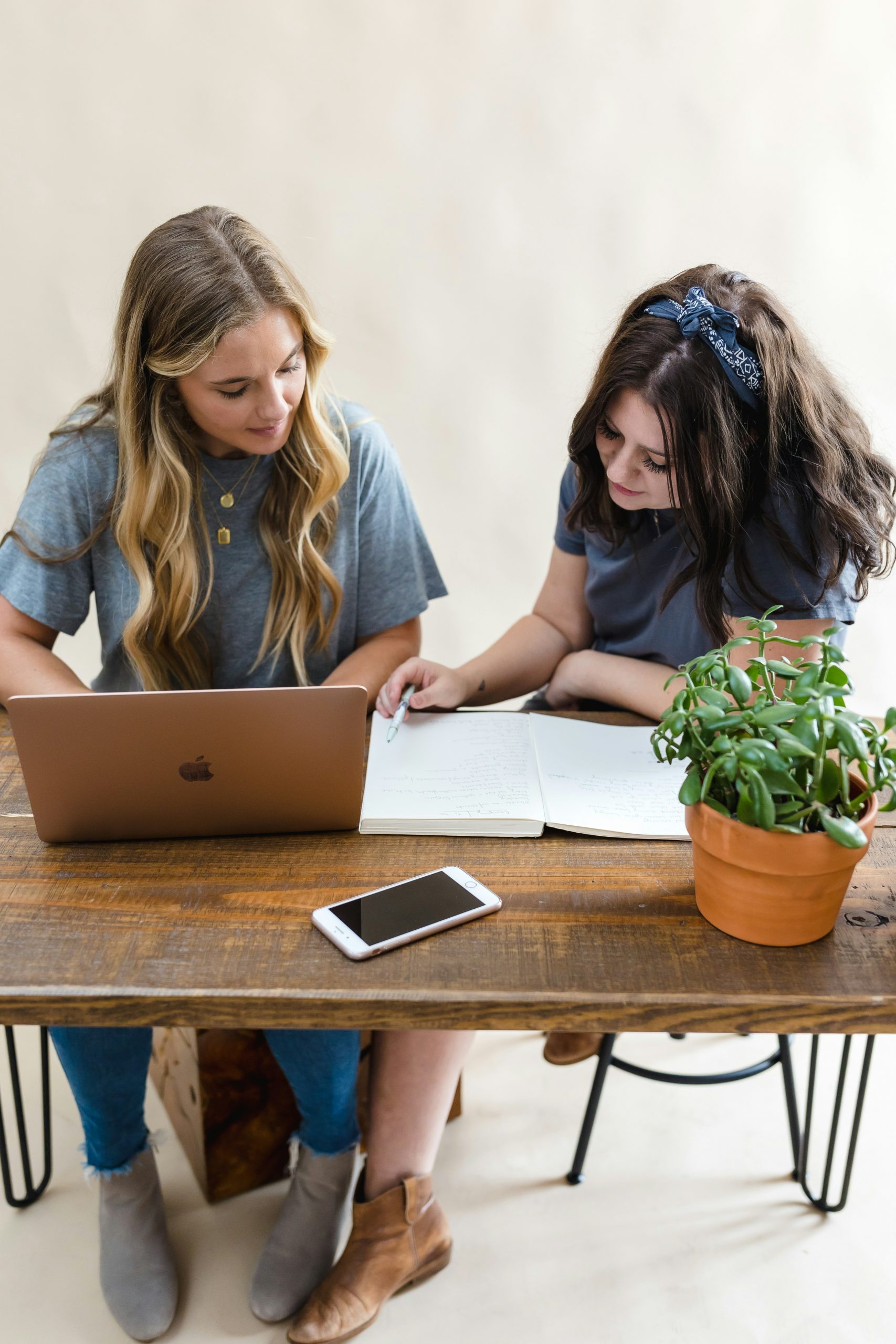 2 Women freelance consultants