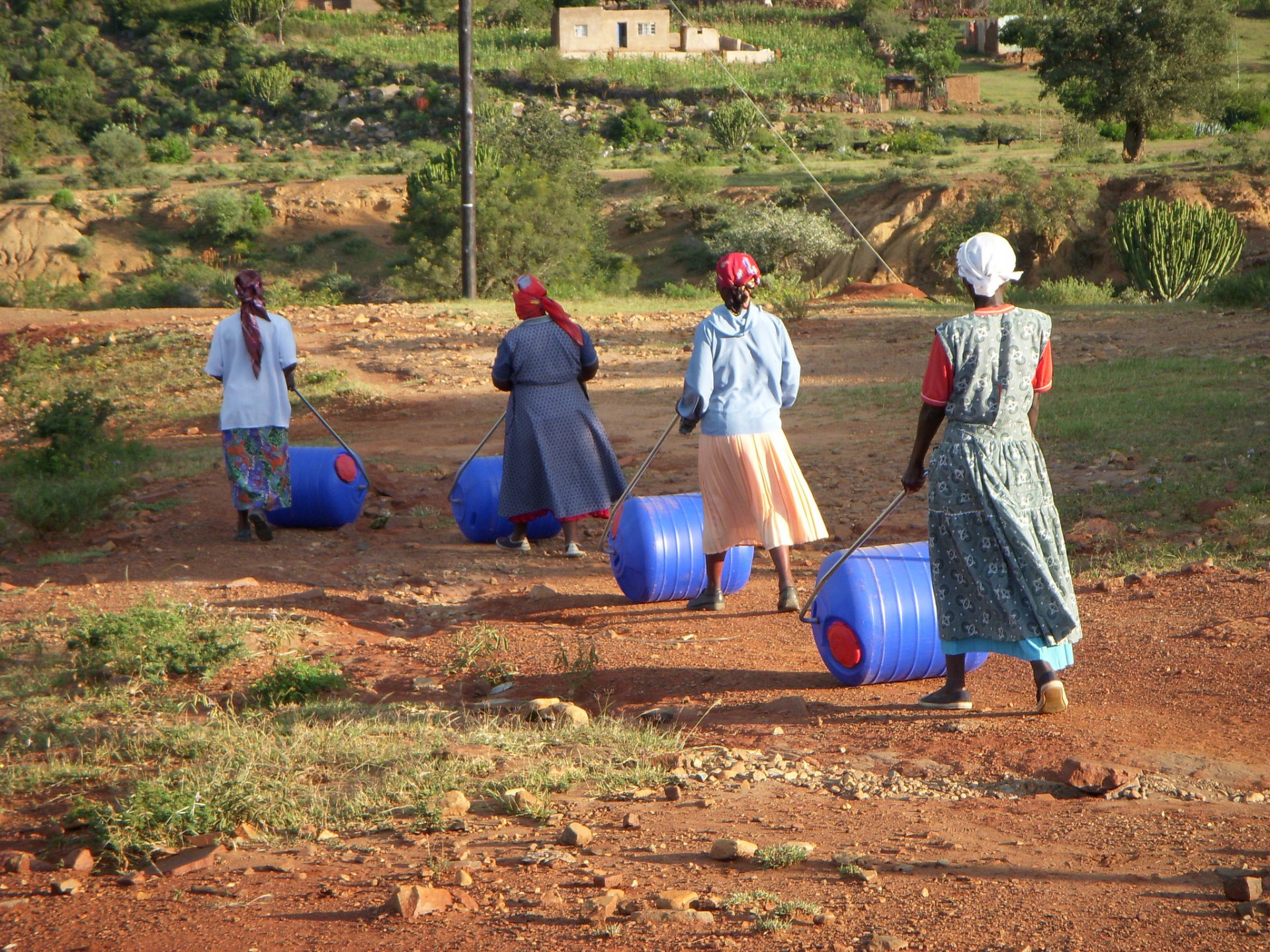 hippo water carrier