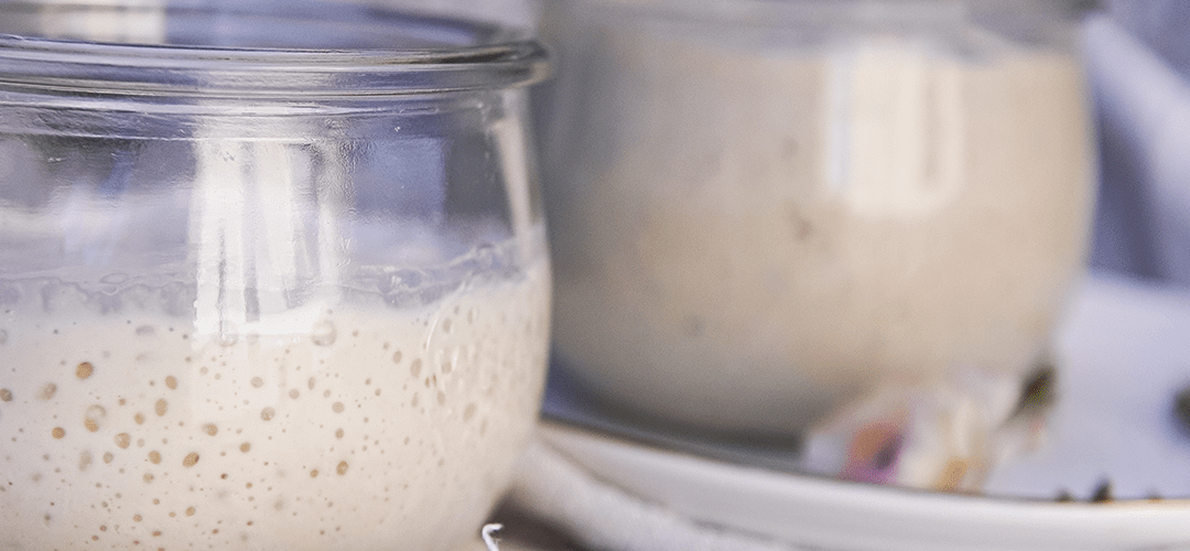 Sauerteig ansetzen Sauerteig Ansatz züchten
