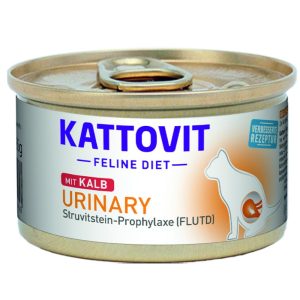 Kattovit