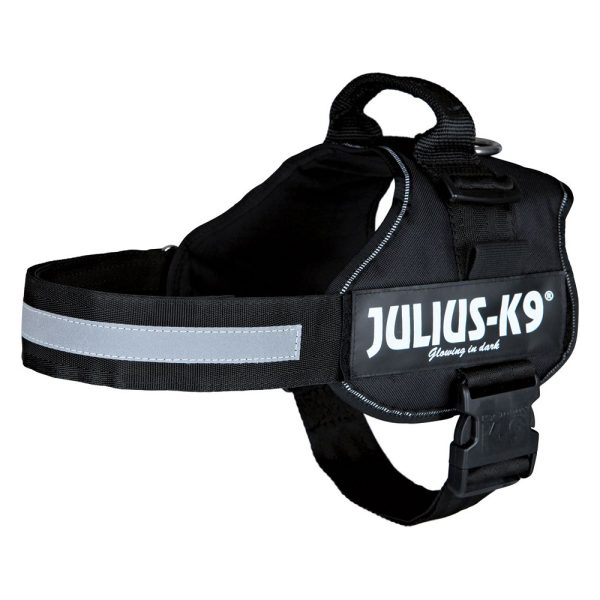 Julius-K9