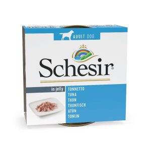 Schesir