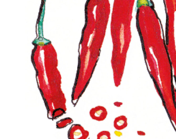 Chilis-Diessener-Goldfisch Chilis-Diessener-Goldfisch