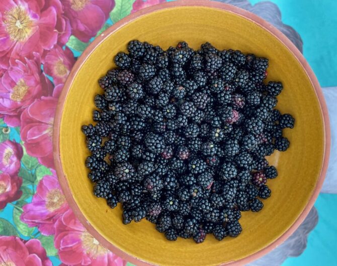 Brombeercrostata_Brombeeren Brombeercrostata_Brombeeren