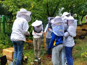 School workshops - beekeeping