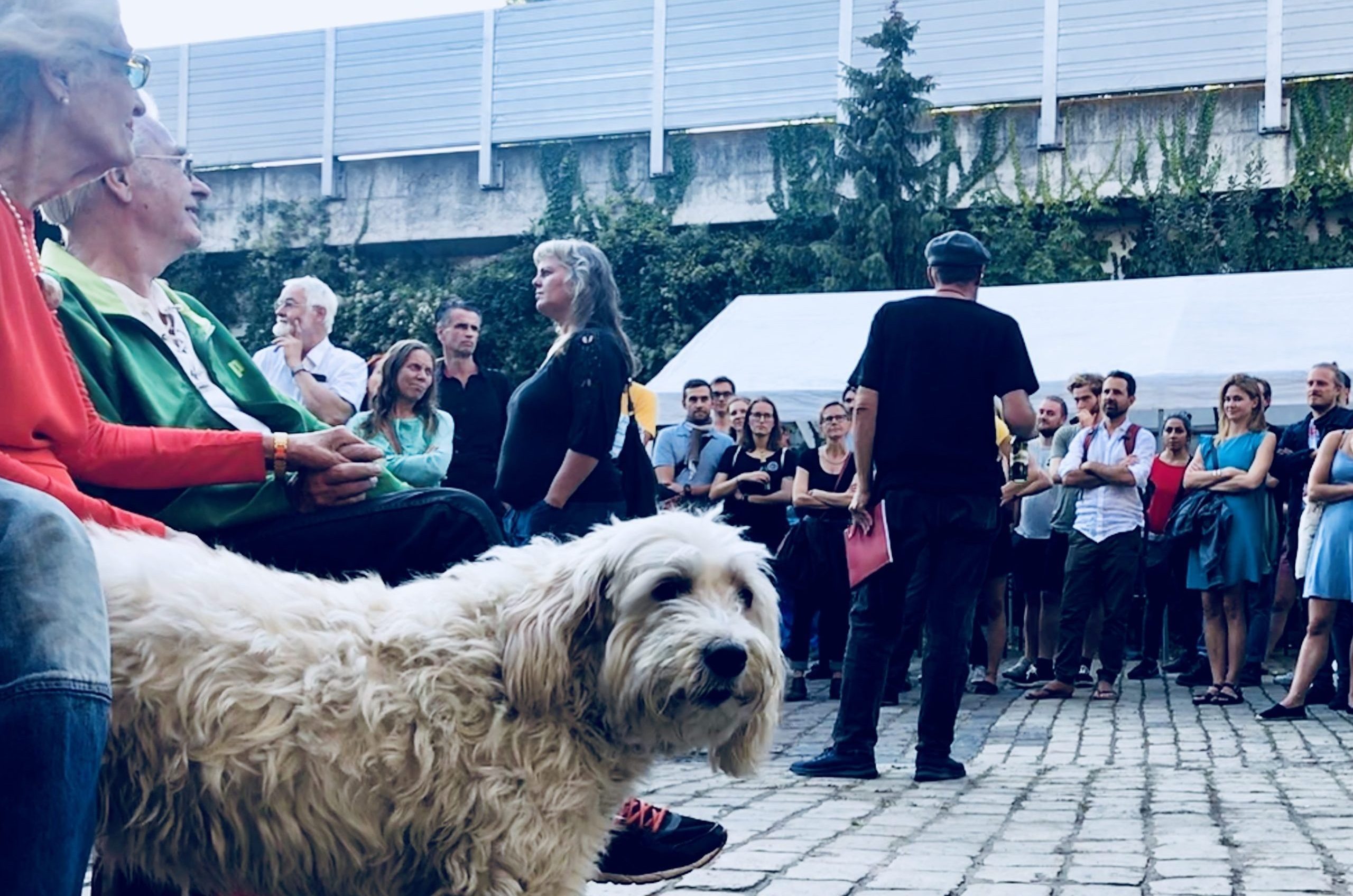 Sommerfest.ival 2023 at the Wiesenburg