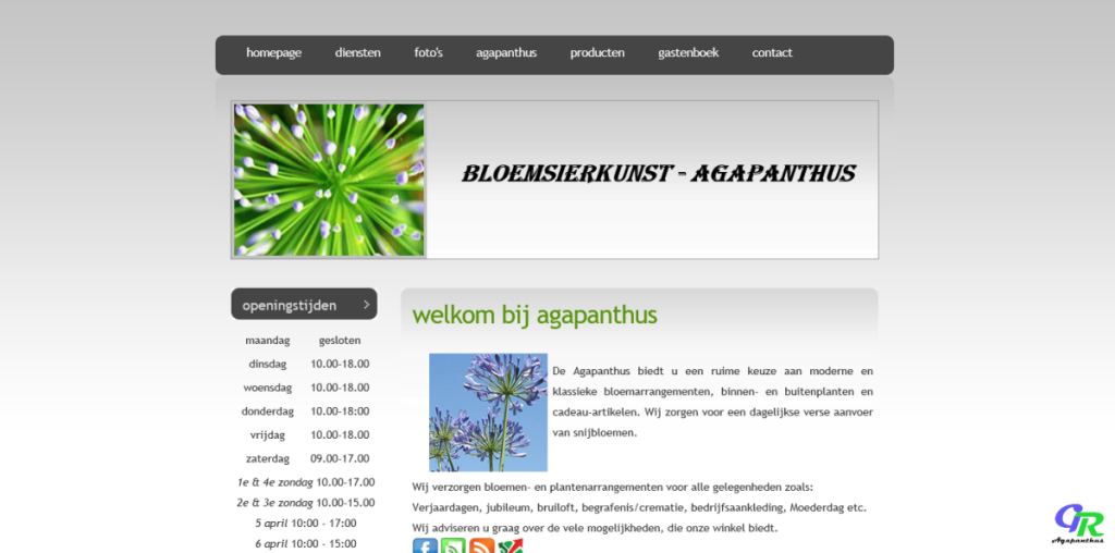 Bloemsierkunst Agapanthus (2015)