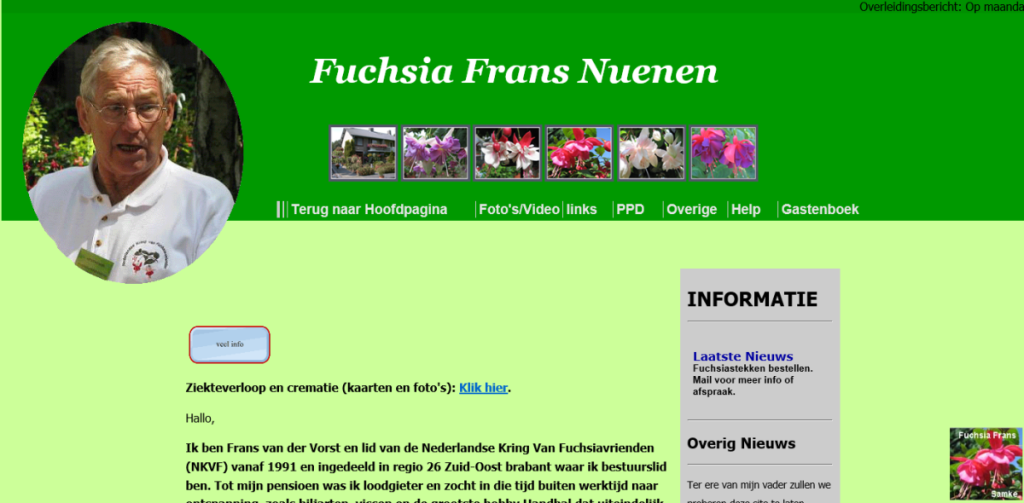Fuchsia Frans (2010)