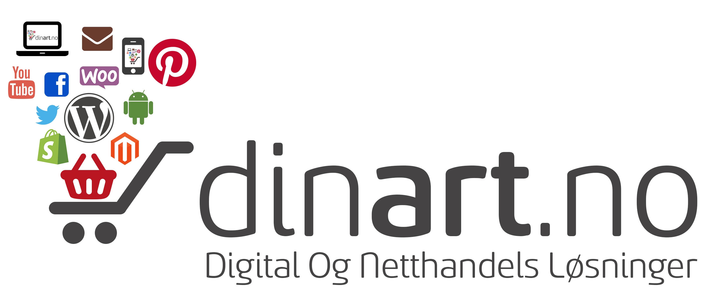 DinArt Data Norge Norwegian Logo