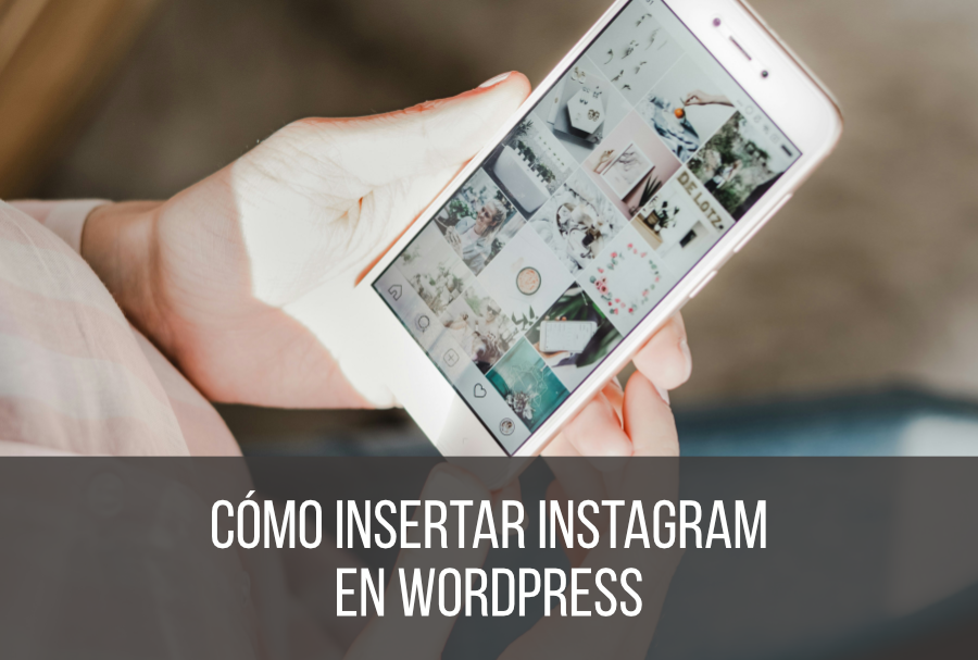 Insertar Instagram en WordPress