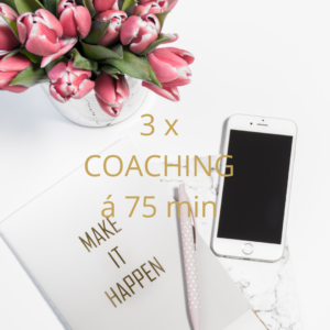 Coaching - 3 x coaching á 75 min.