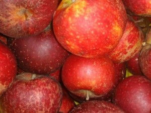 Æbler på Farmers Market