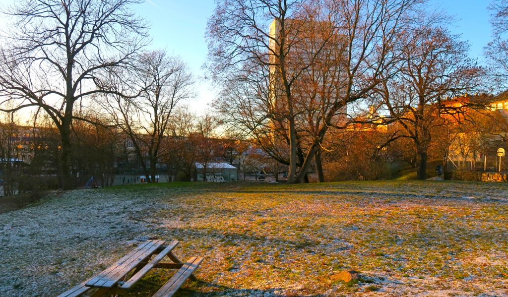 Tullgårdsparken är en oas i mina kvarter på Södermalm