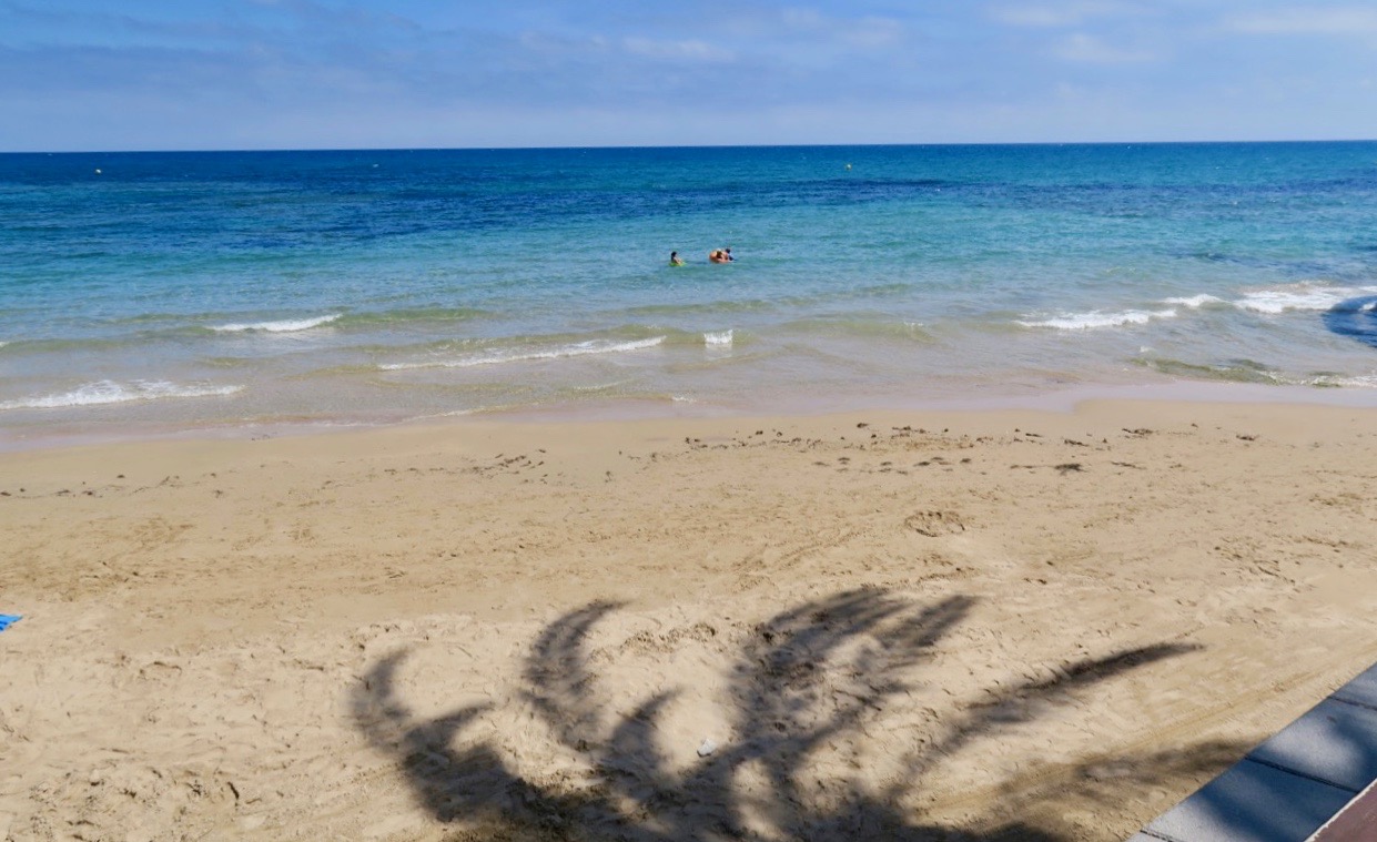 Från strandrestaurangens skugga kan man göra en hel del iakttagelser. Här finns även palmens skugga med. 