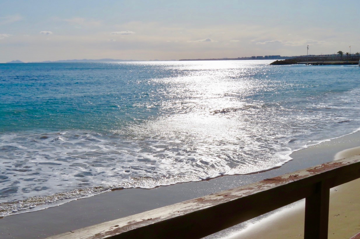 Fredagen bjöd på ett varierat innehåll men bl.a en låmgpromenad längs havet i Torrevieja