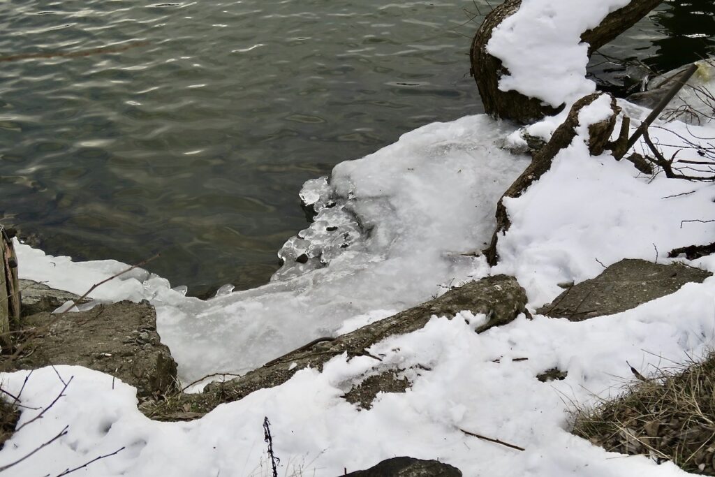 Stockholm. Årstaviken vid Hammarbyslussen Fera olika nyanser av vitt och grått både på isen, i vattnet och i snön. 