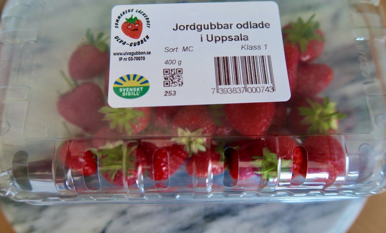 Misdommartid och svenska jordgubbar. Dessa odlade u Uppsala men inköpta på Södermalm. 