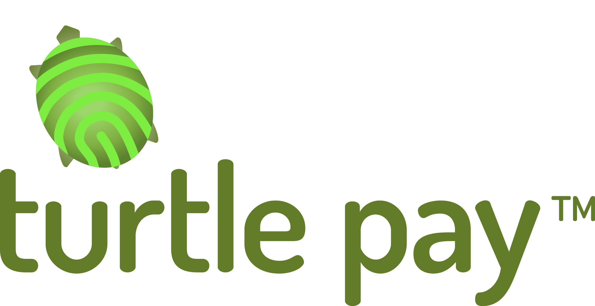 Turtle Pay