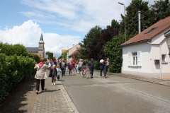 2011 Reuzenoptocht Eliksem 10