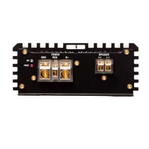 CCi500-40 – DLS