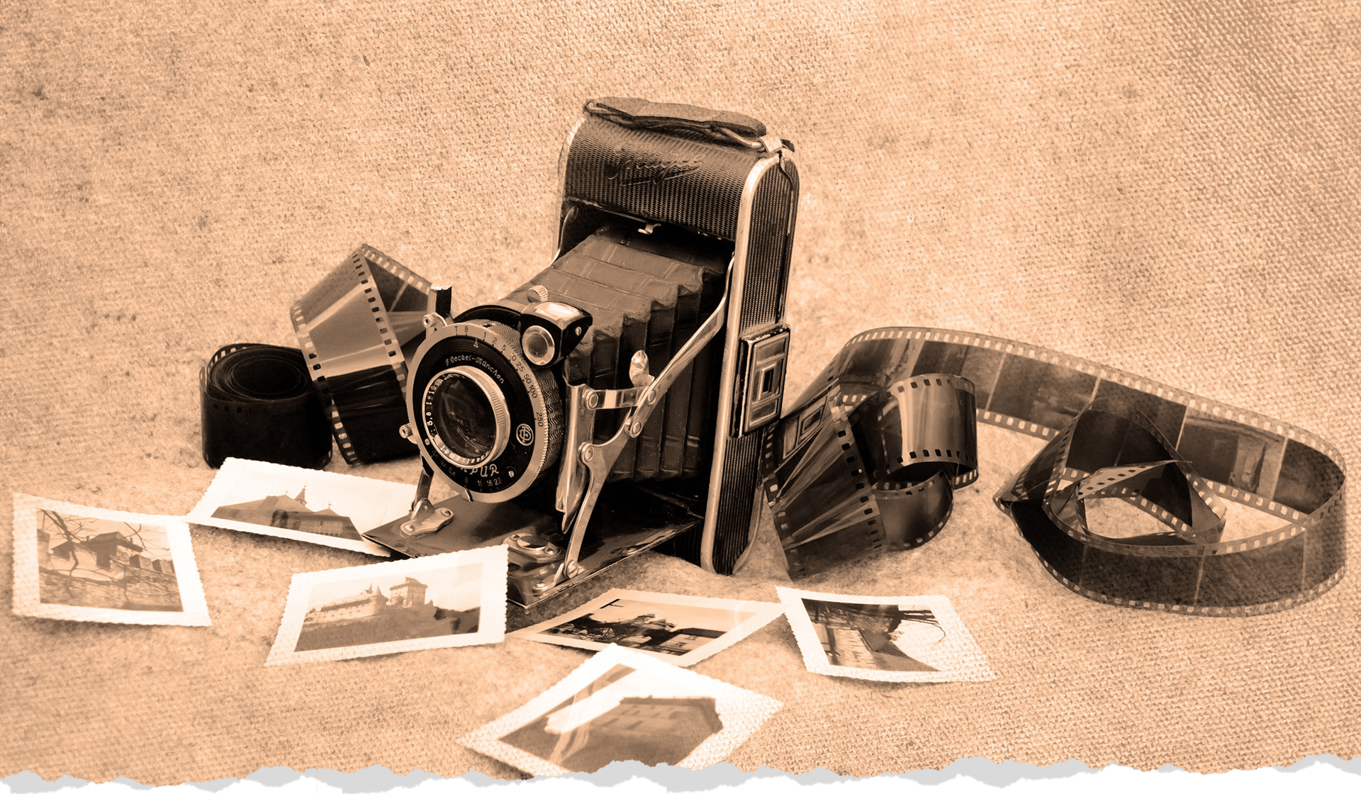 Header,-local-insights