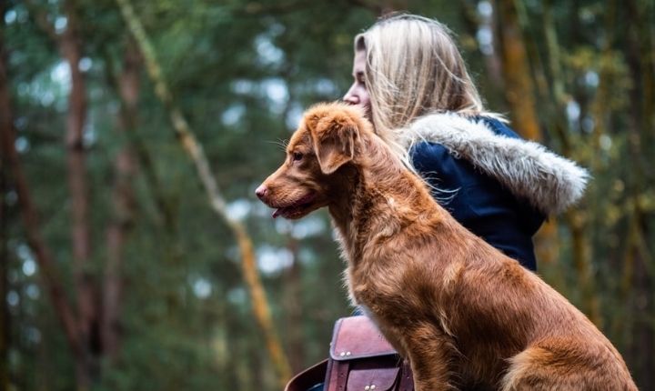 anledning att skaffa hund