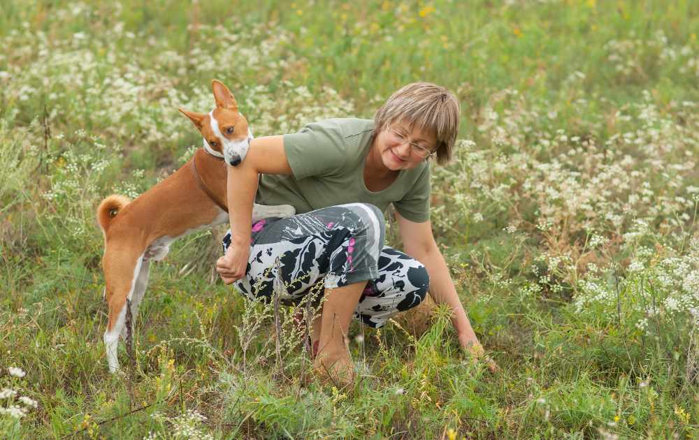 basenji hund leker och kelar